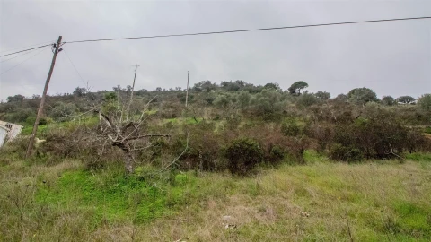 Terreno Agricola ou Rústico para Venda em Alcoutim e Pereiro
