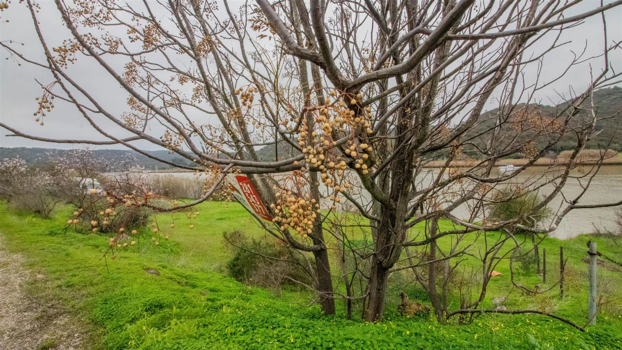 Terreno Agricola ou Rústico para Venda em Alcoutim e Pereiro Foto 3