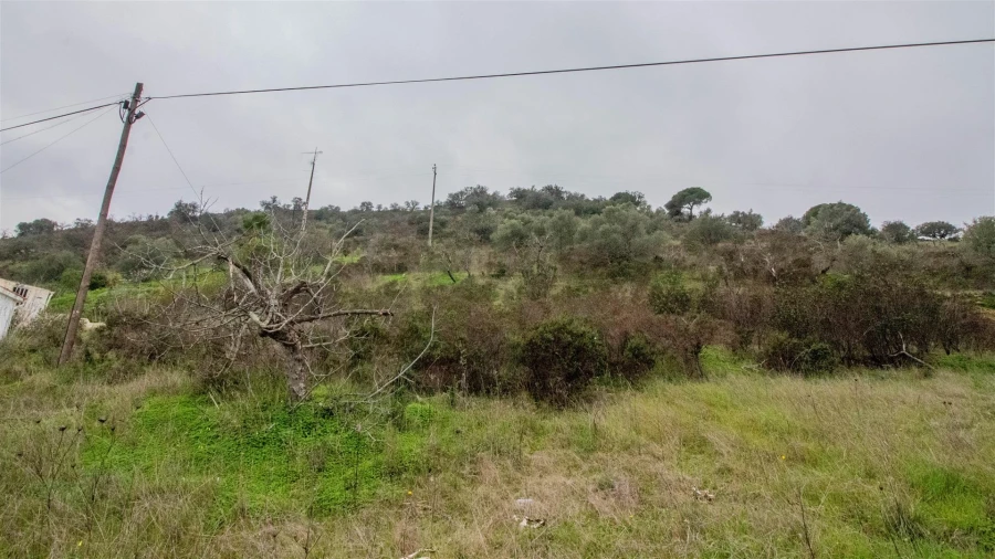 Terreno Agricola ou Rústico para Venda em Alcoutim e Pereiro Foto 7