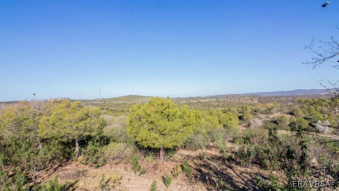 Terreno Agricola ou Rústico para Venda em Alcoutim e Pereiro