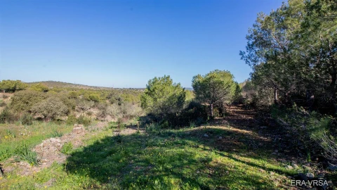 Terreno Agricola ou Rústico para Venda em Alcoutim e Pereiro