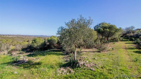 Terreno Agricola ou Rústico para Venda em Alcoutim e Pereiro