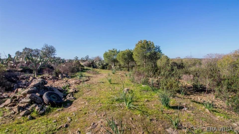 Terreno Agricola ou Rústico para Venda em Alcoutim e Pereiro