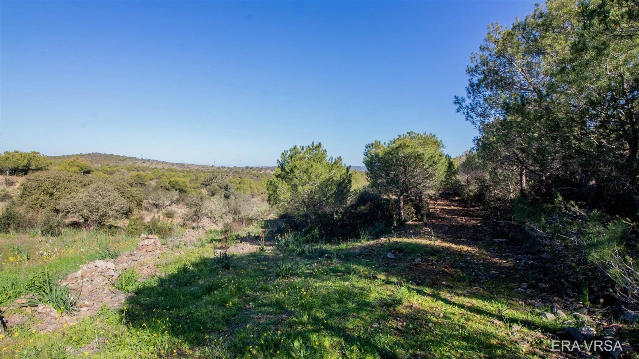 Terreno Agricola ou Rústico para Venda em Alcoutim e Pereiro Foto 2