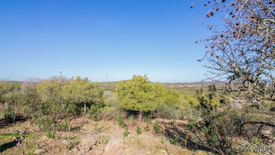 Terreno Agricola ou Rústico para Venda em Alcoutim e Pereiro Foto 5