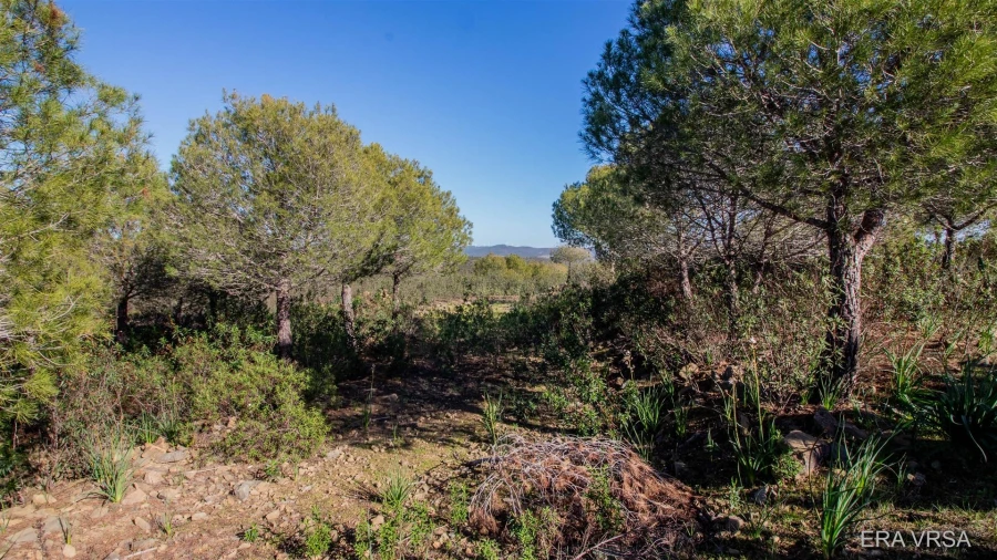 Terreno Agricola ou Rústico para Venda em Alcoutim e Pereiro Foto 3