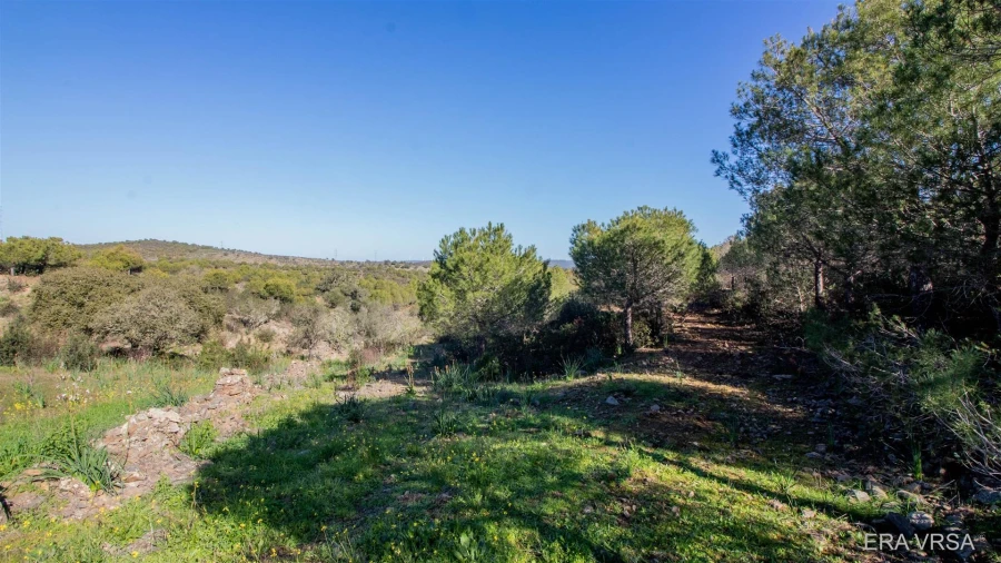 Terreno Agricola ou Rústico para Venda em Alcoutim e Pereiro Foto 2