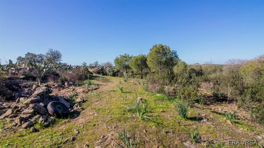 Terreno Agricola ou Rústico para Venda em Alcoutim e Pereiro Foto 6