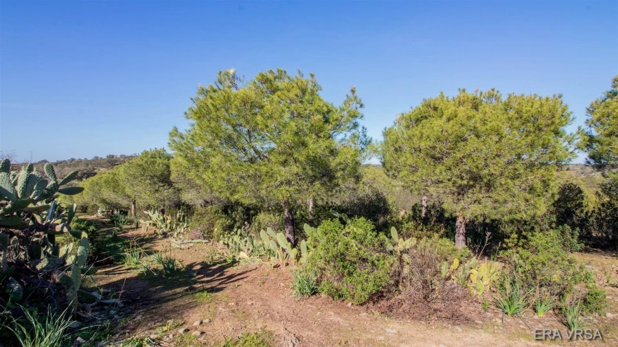 Terreno Agricola ou Rústico para Venda em Alcoutim e Pereiro Foto 4