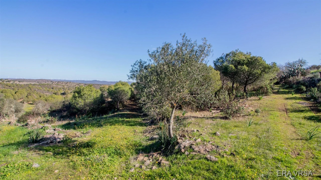 Terreno Agricola ou Rústico para Venda em Alcoutim e Pereiro Foto 1