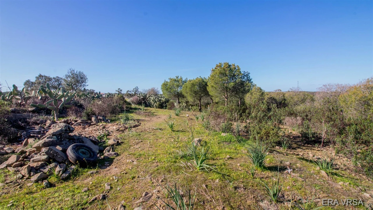 Terreno Agricola ou Rústico para Venda em Alcoutim e Pereiro Foto 6