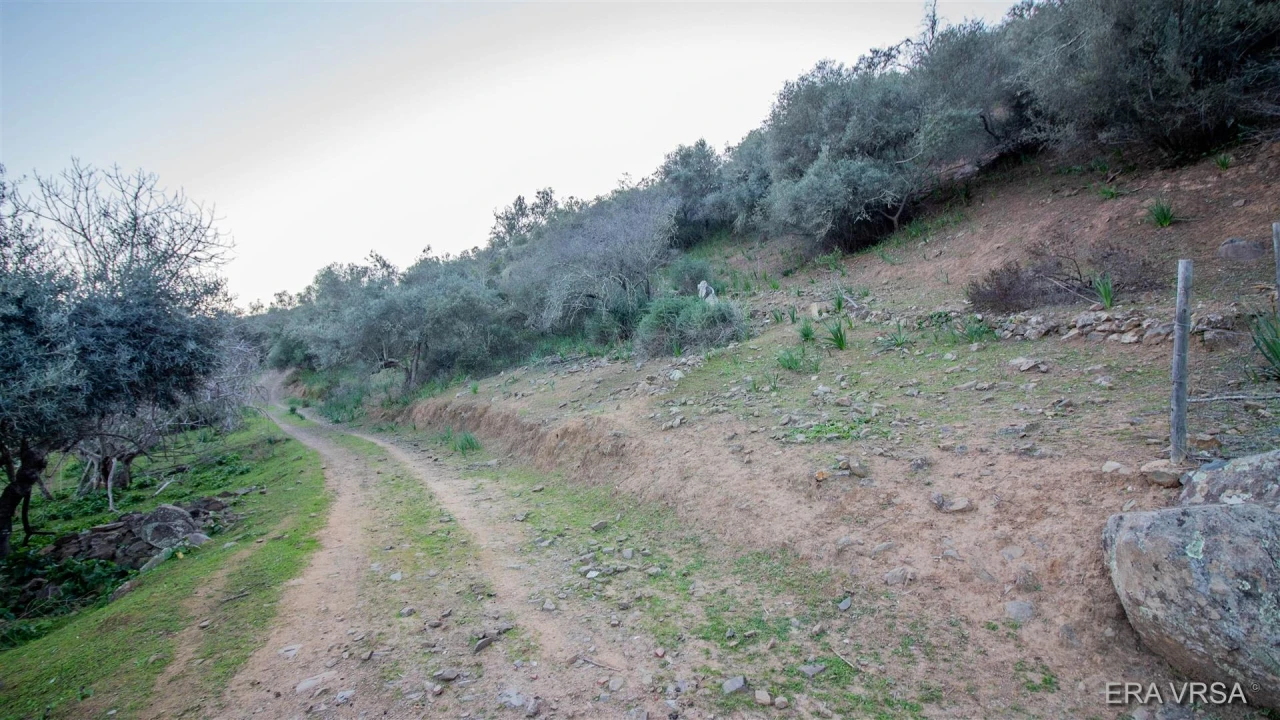 Terreno Agricola ou Rústico para Venda em Alcoutim e Pereiro Foto 3