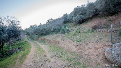Terreno Agricola ou Rústico para Venda em Alcoutim e Pereiro