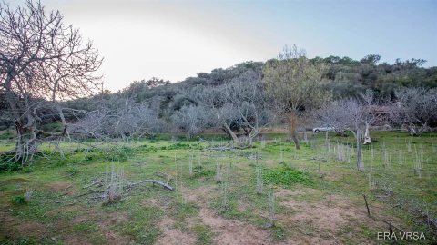 Terreno Agricola ou Rústico para Venda em Alcoutim e Pereiro