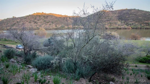 Terreno Agricola ou Rústico para Venda em Alcoutim e Pereiro