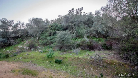 Terreno Agricola ou Rústico para Venda em Alcoutim e Pereiro