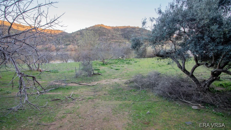 Terreno Agricola ou Rústico para Venda em Alcoutim e Pereiro Foto 4