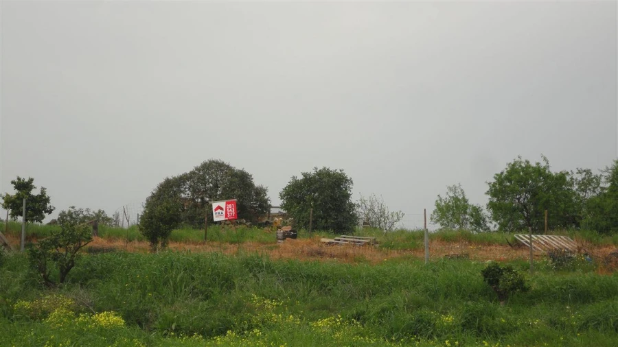 Terreno para Venda em Odeleite Foto 2