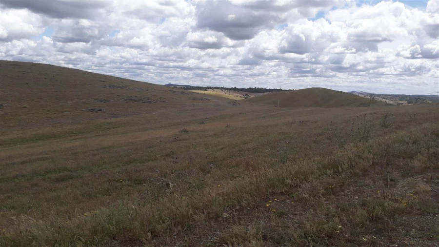 Terreno para Venda em Santana de Cambas Foto 7