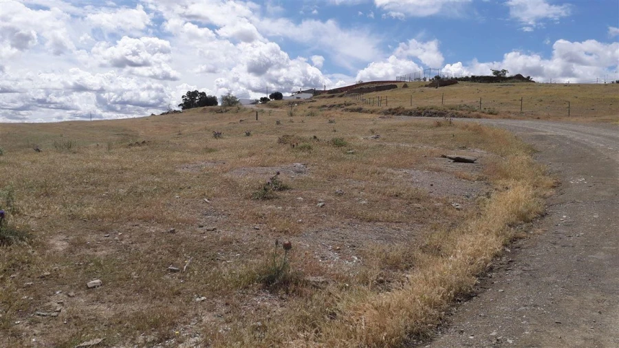 Terreno para Venda em Santana de Cambas Foto 6