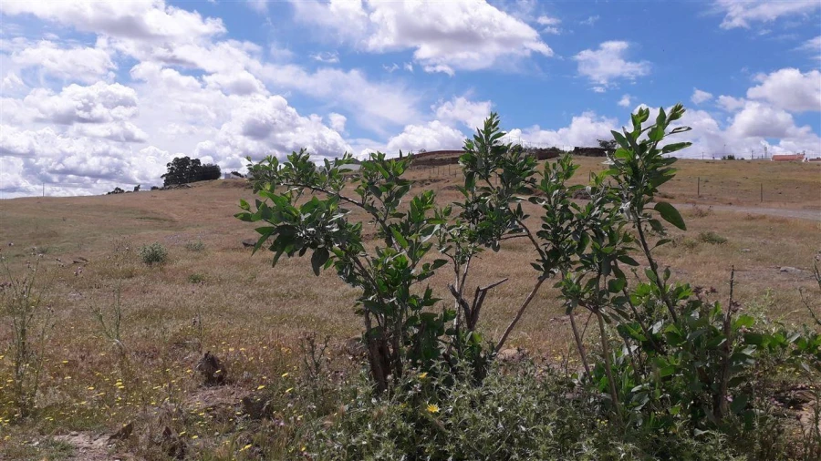 Terreno para Venda em Santana de Cambas Foto 5