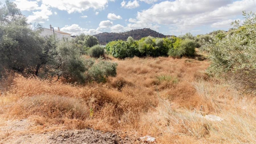 Terreno Agricola ou Rústico para Venda em Odeleite Foto 2