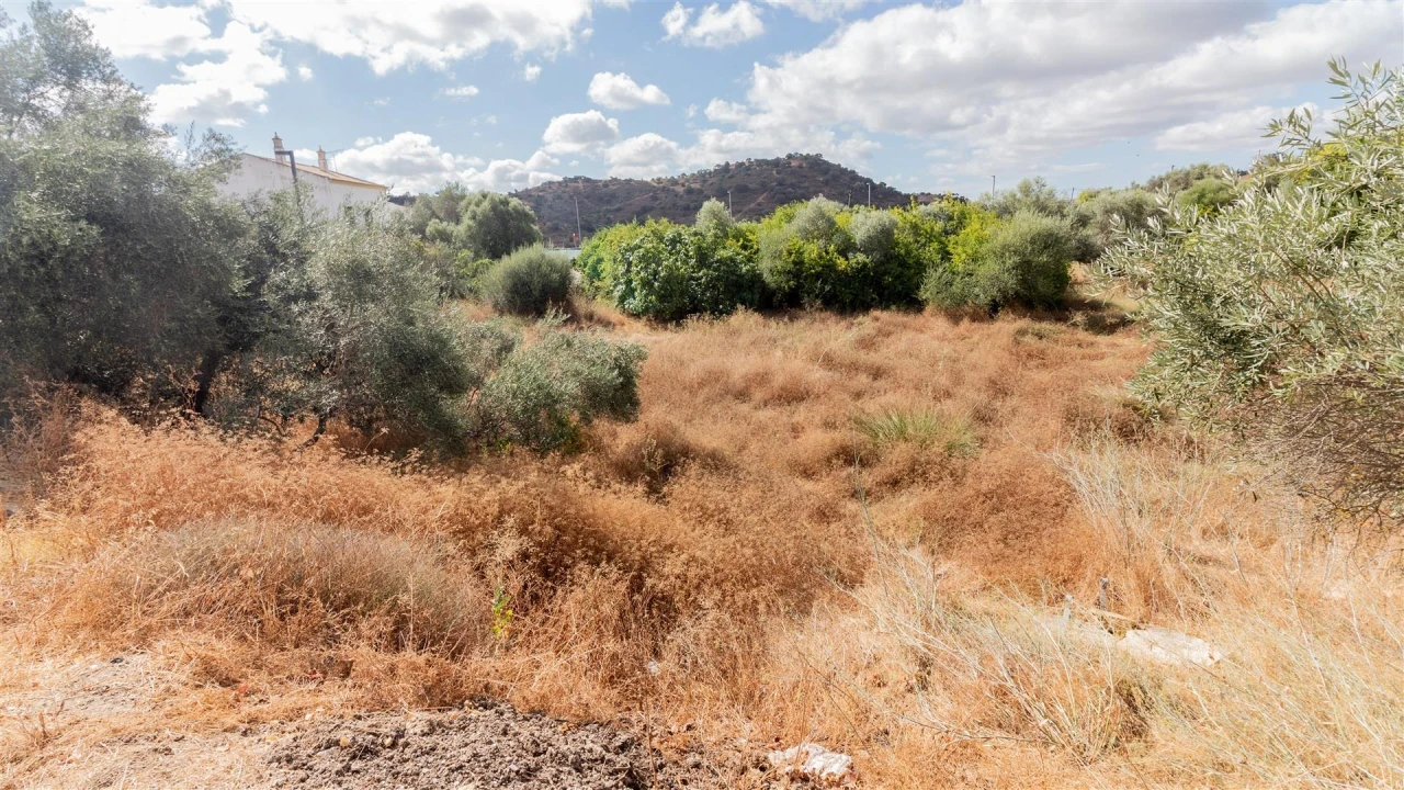 Terreno Agricola ou Rústico para Venda em Odeleite Foto 2