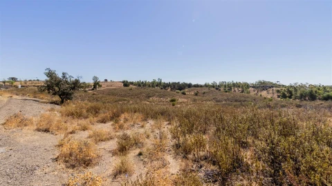 Terreno para Venda em Odeleite