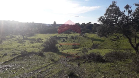 Quinta T0 para Venda em Mertola