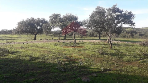 Quinta T0 para Venda em Mertola