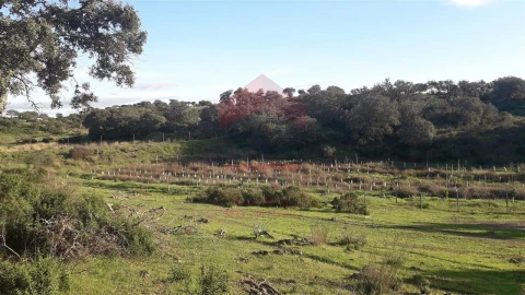 Quinta T0 para Venda em Mertola