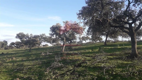 Quinta T0 para Venda em Mertola