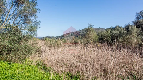 Terreno Agricola ou Rústico para Venda em Alcoutim e Pereiro