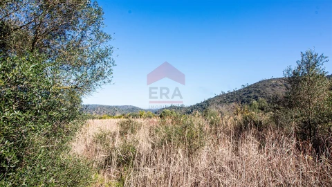 Terreno Agricola ou Rústico para Venda em Alcoutim e Pereiro