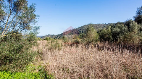Terreno Agricola ou Rústico para Venda em Alcoutim e Pereiro
