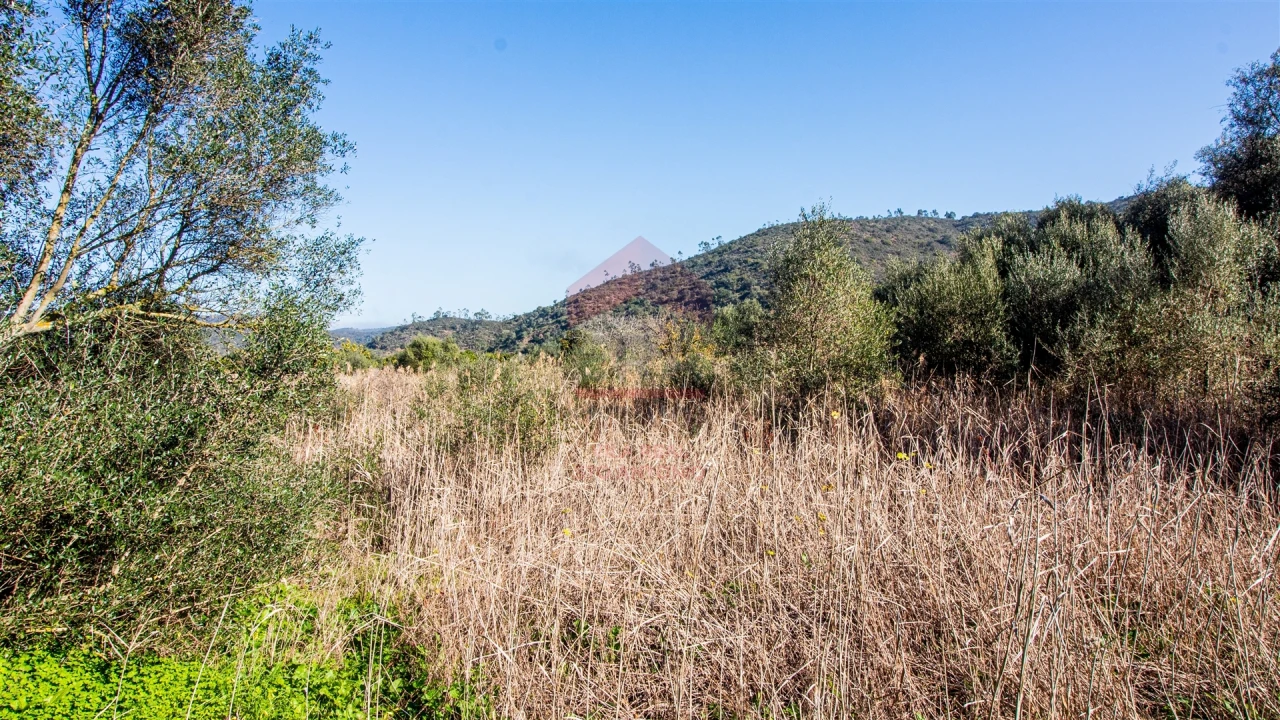 Terreno Agricola ou Rústico para Venda em Alcoutim e Pereiro Foto 4