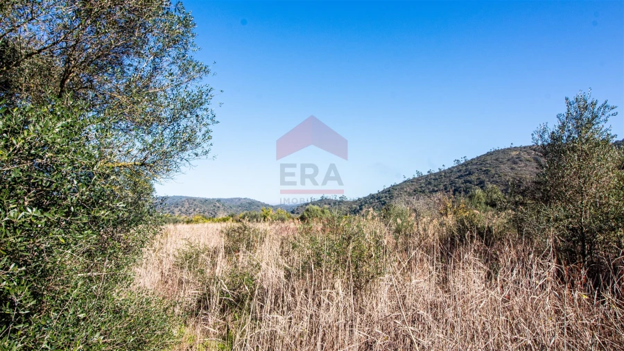 Terreno Agricola ou Rústico para Venda em Alcoutim e Pereiro Foto 3