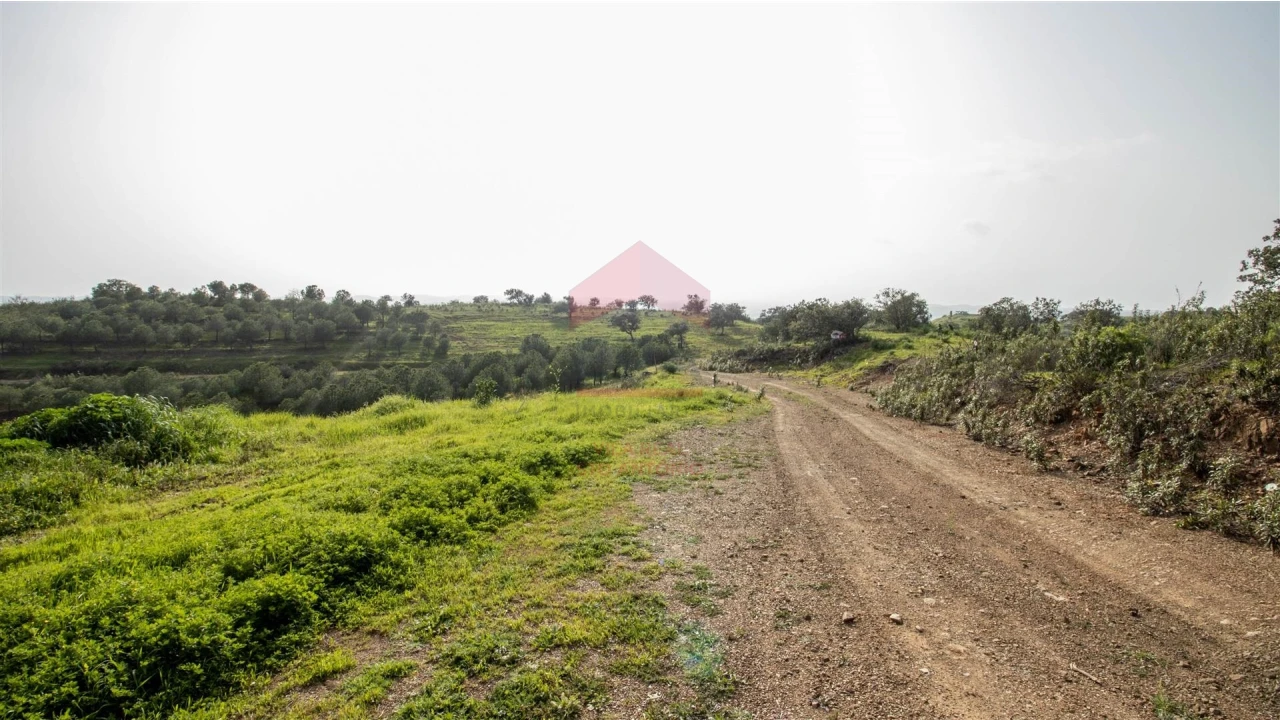 Terreno Agricola ou Rústico para Venda em Odeleite Foto 3