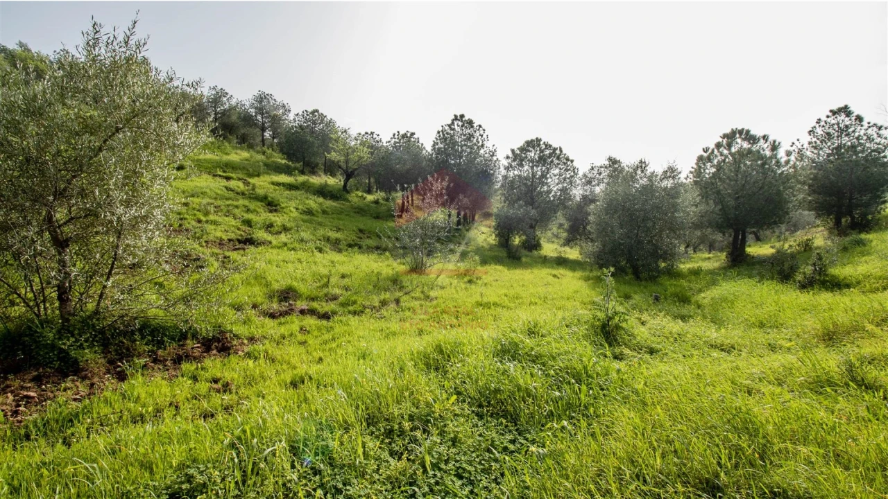 Terreno Agricola ou Rústico para Venda em Odeleite Foto 7