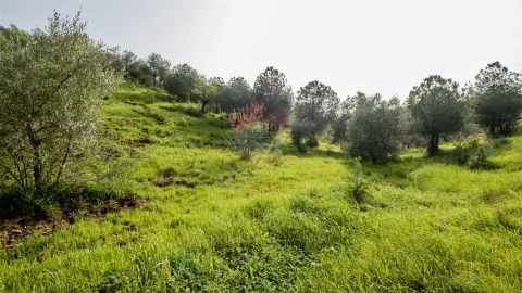 Terreno Agricola ou Rústico para Venda em Odeleite