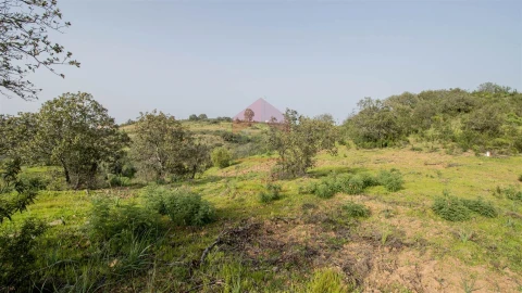 Terreno Agricola ou Rústico para Venda em Odeleite