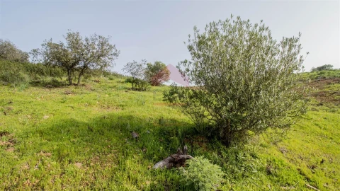 Terreno Agricola ou Rústico para Venda em Odeleite