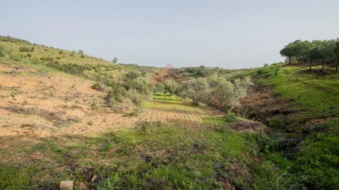 Terreno Agricola ou Rústico para Venda em Odeleite