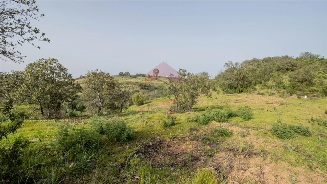 Terreno Agricola ou Rústico para Venda em Odeleite Foto 5
