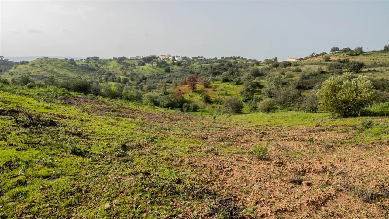 Terreno Agricola ou Rústico para Venda em Odeleite Foto 6