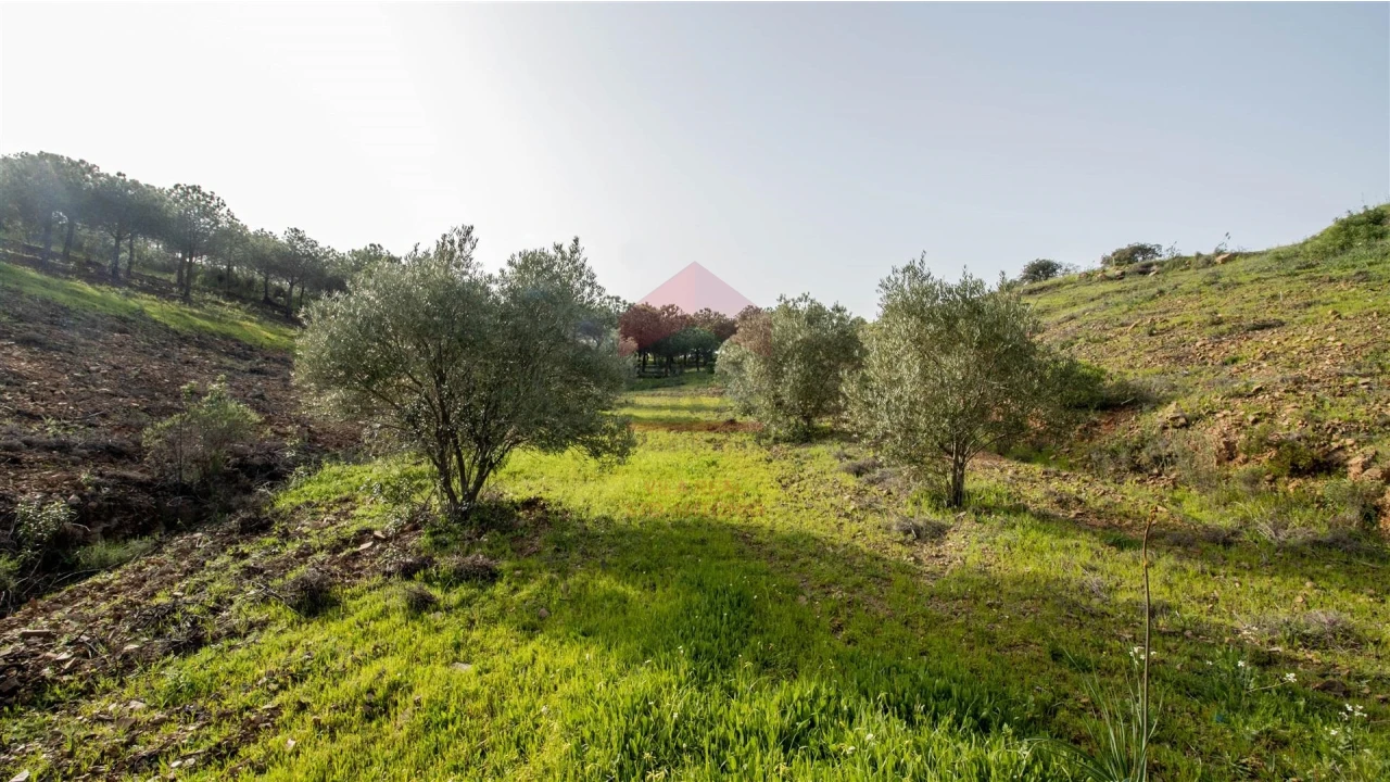 Terreno Agricola ou Rústico para Venda em Odeleite Foto 12