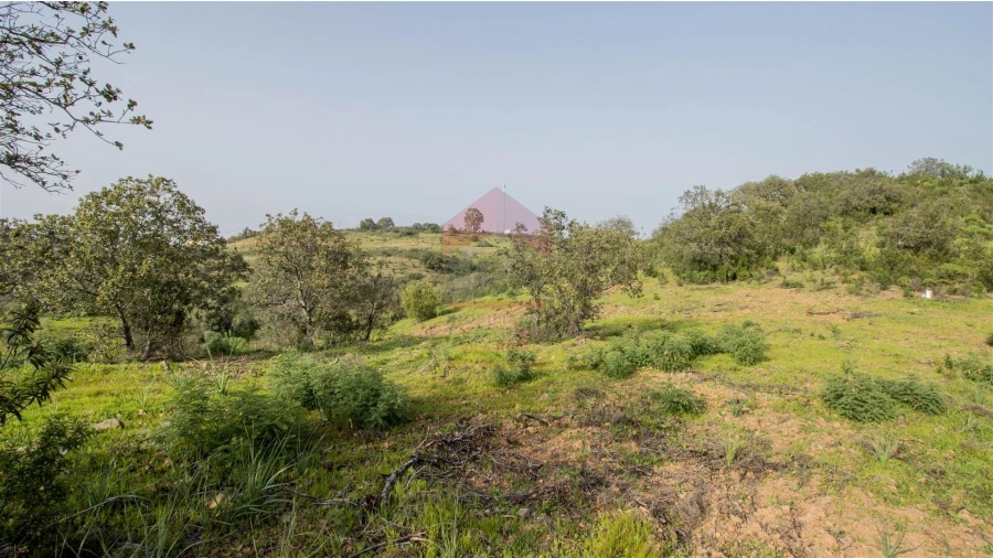 Terreno Agricola ou Rústico para Venda em Odeleite Foto 5