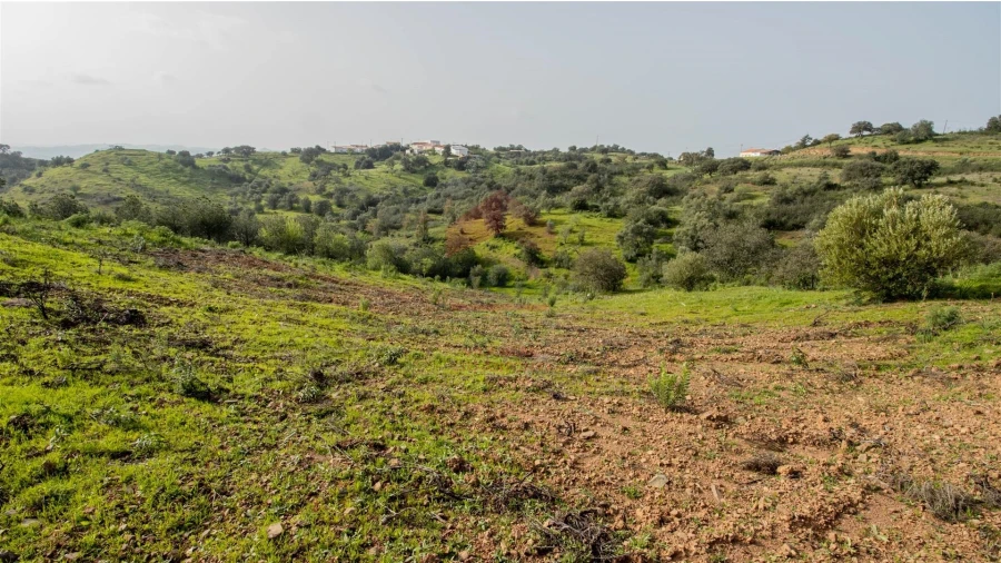 Terreno Agricola ou Rústico para Venda em Odeleite Foto 6
