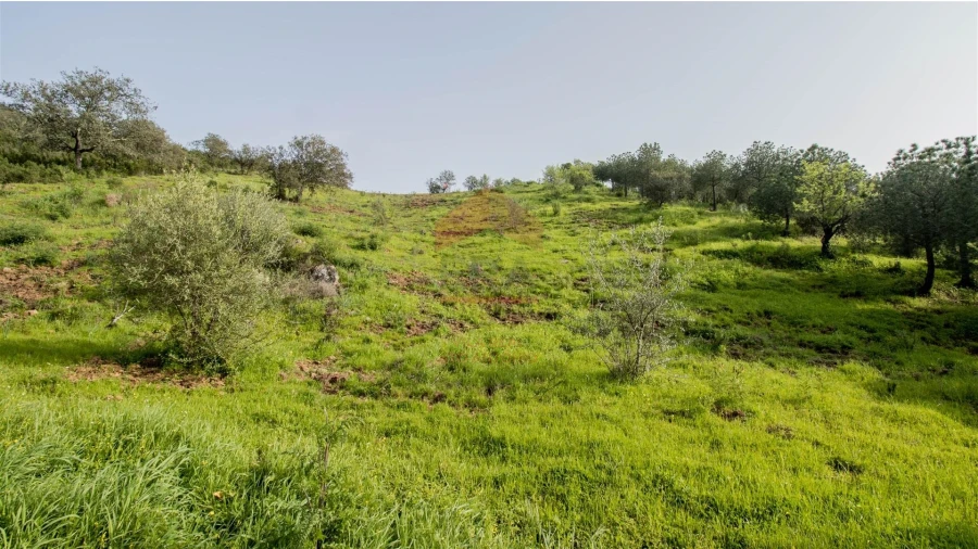 Terreno Agricola ou Rústico para Venda em Odeleite Foto 8