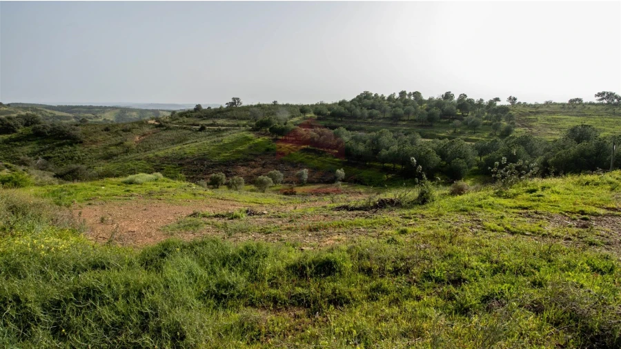 Terreno Agricola ou Rústico para Venda em Odeleite Foto 4